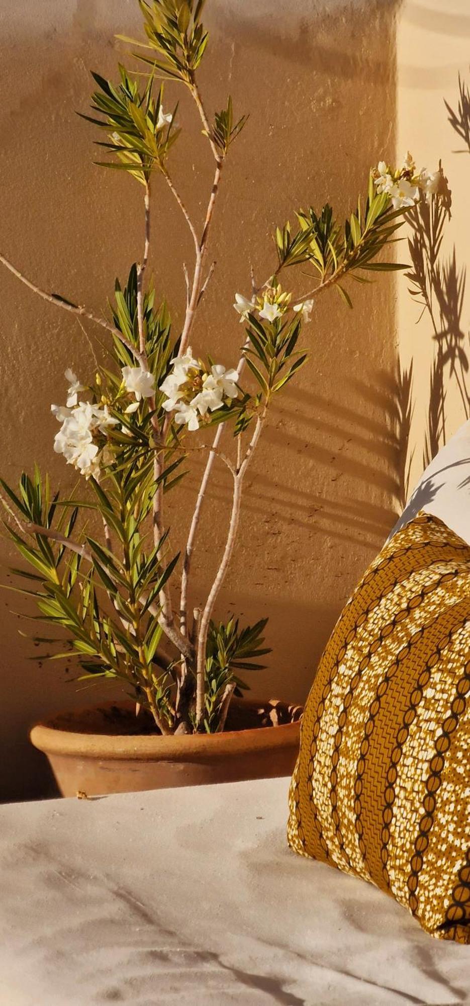 Riad De Vincent Marrakesh Buitenkant foto