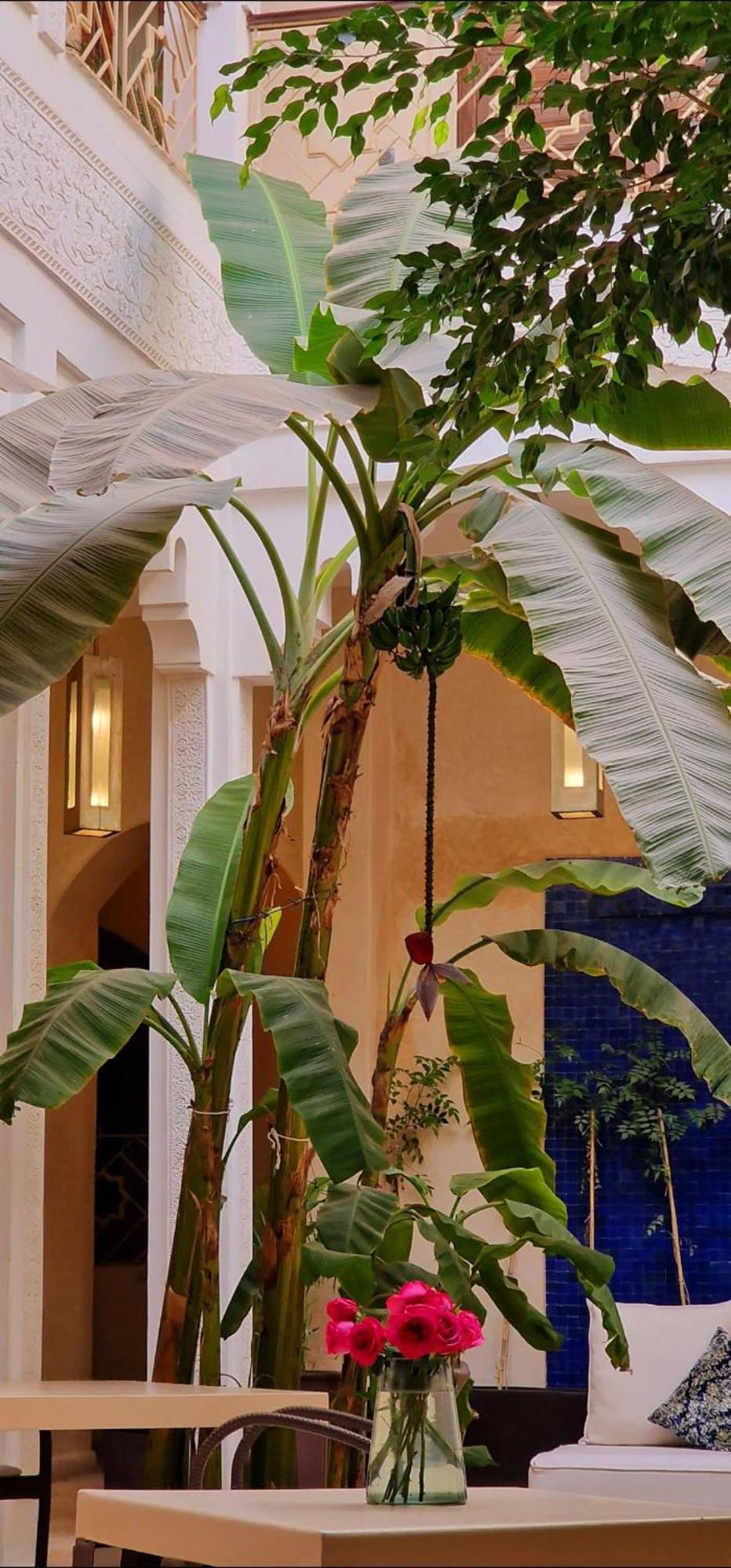 Riad De Vincent Marrakesh Buitenkant foto